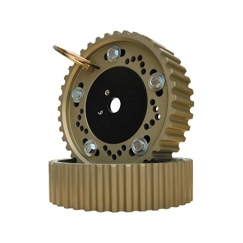 Poulie Vernier CAT CAMS pour PEUGEOT 306 XU10J4RS Poulie Vernier CAT CAMS pour PEUGEOT 306 XU10J4RS