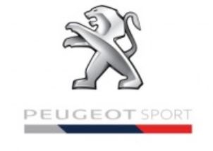 Polo PEUGEOT sport